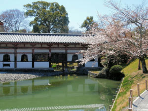 20110414_277shuusei.jpg