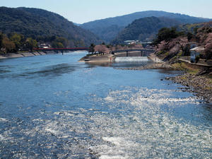 20110414_249shuusei.jpg