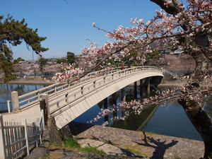 20110414_289shuusei.jpg