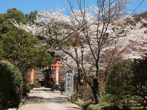 20110414_315shuusei.jpg