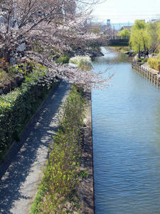 20110414_327shuusei.jpg