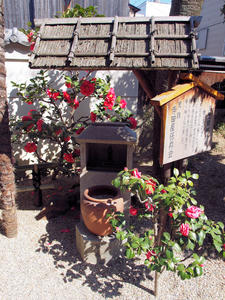 20110414_357shuusei.jpg