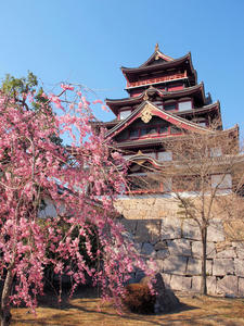 20110414_395shuusei.jpg