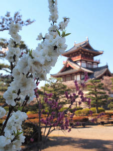 20110414_402shuusei.jpg