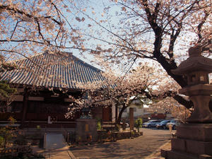 20110414_415shuusei.jpg