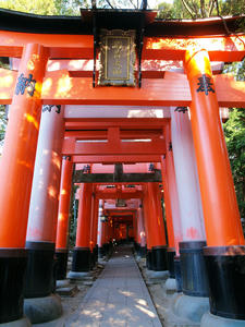 20110414_444shuusei.jpg