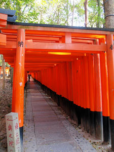 20110414_448shuusei.jpg