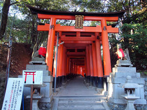 20110414_451shuusei.jpg