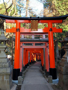 20110414_462shuusei.jpg