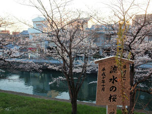 20110414_491shuusei.jpg