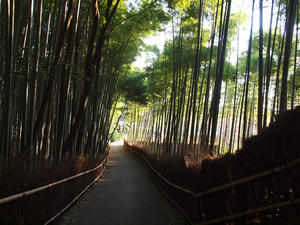 20110414_507shuusei.jpg