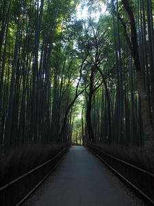 20110414_513shuusei.jpg