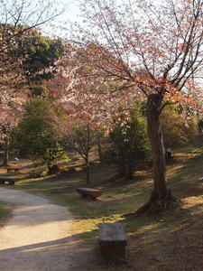 20110414_532shuusei.jpg