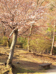 20110414_538shuusei.jpg