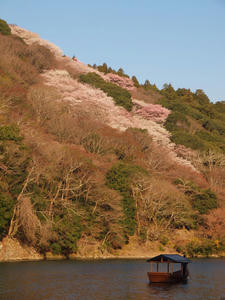 20110414_559shuusei.jpg