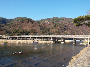 20110414_564shuusei.jpg