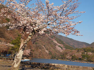 20110414_577shuusei.jpg