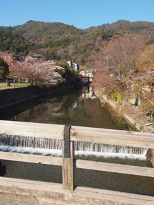 20110414_585shuusei.jpg