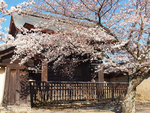 20110414_593shuusei.jpg