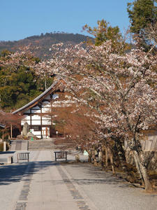 20110414_595shuusei.jpg