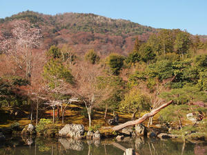 20110414_601shuusei.jpg