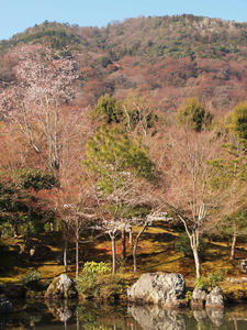 20110414_602shuusei.jpg