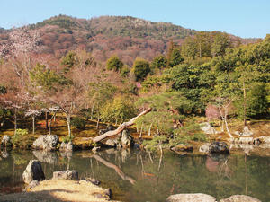 20110414_603shuusei.jpg