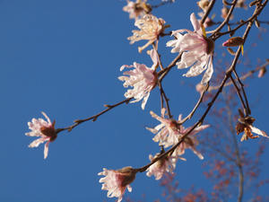 20110414_634shuusei.jpg