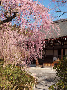 20110414_607shuusei.jpg