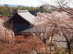 20110414_652shuusei.jpg