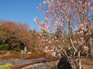 20110414_670shuusei.jpg