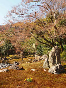 20110414_673shuusei.jpg