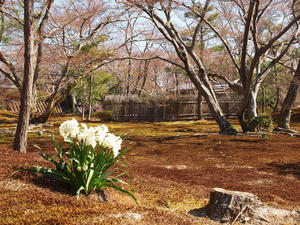 20110414_674shuusei.jpg