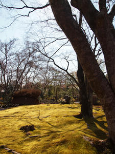 20110414_682shuusei.jpg