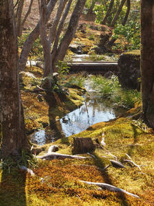 20110414_685shuusei.jpg