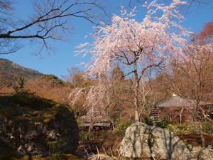 20110414_701shuusei.jpg