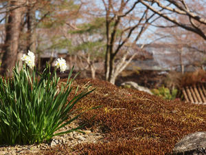 20110414_708shuusei.jpg