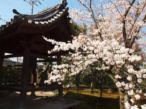 20110414_714shuusei.jpg