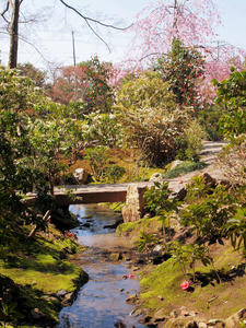 20110414_728shuusei.jpg