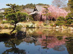 20110414_730shuusei.jpg