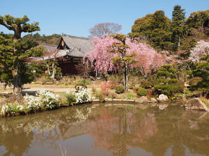 20110414_746shuusei.jpg