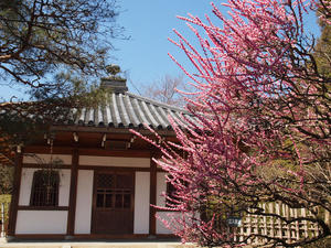 20110414_787shuusei.jpg