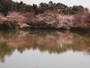 20110414_799shuusei.jpg