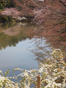 20110414_802shuusei.jpg