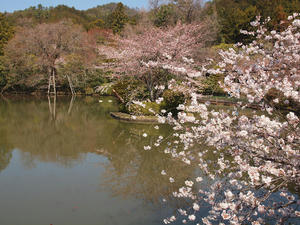 20110414_808shuusei.jpg