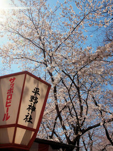 20110414_819shuusei.jpg