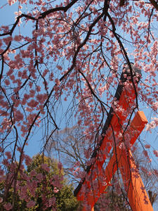 20110414_837shuusei.jpg