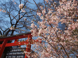 20110414_814shuusei.jpg