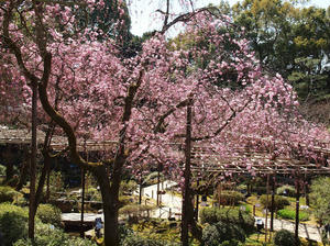 20110414_890shuusei.jpg