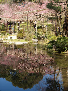 20110414_899shuusei.jpg